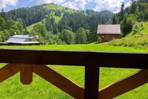 Терношорська Лада 13