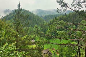 Терношорська Лада 17