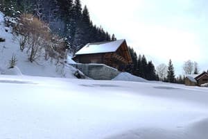 Терношорська Лада 33