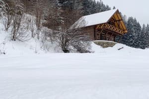 Терношорська Лада 37