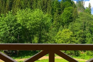 Терношорська Лада 22