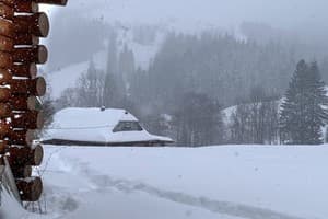 Терношорська Лада 42