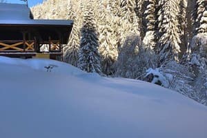 Терношорська Лада 44