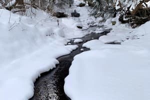 Терношорська Лада 46