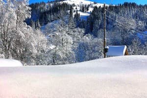 Терношорська Лада 47