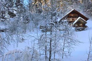 Терношорська Лада 48