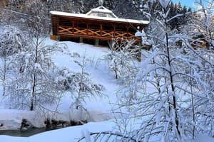 Терношорська Лада 49