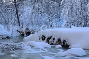 Терношорська Лада 50