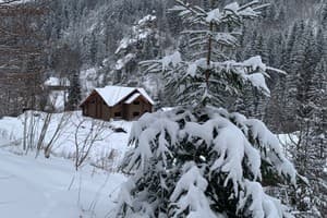 Терношорська Лада 53