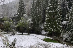 Терношорська Лада 54