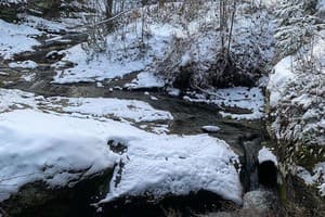 Терношорська Лада 56