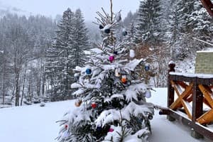 Терношорська Лада 67