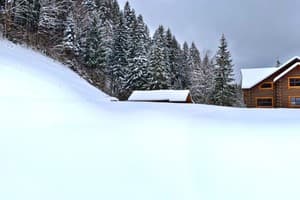 Терношорська Лада 69