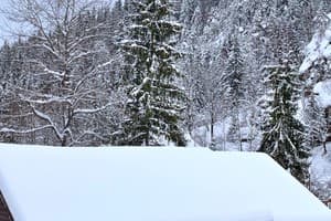 Терношорська Лада 72