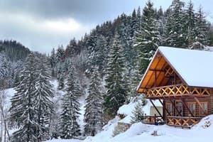 Терношорська Лада 77