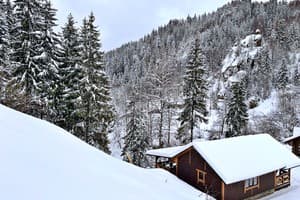 Терношорська Лада 78