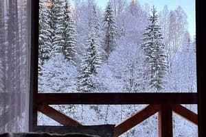 Терношорська Лада 85