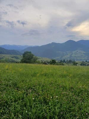 Тихий Куточек 12