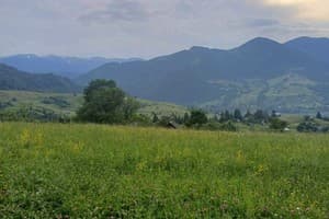 Тихий Куточек 12