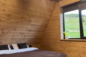 Коттедж Тихий уголок. Коттедж 6-местный A-frame dark 10