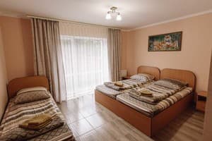 Тога 23