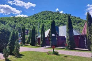 Трембіта  10