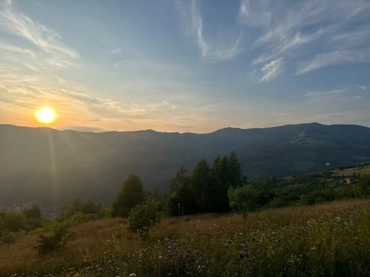 Трембита 19