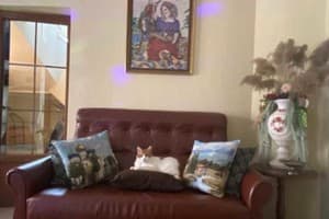 Три Короны 7