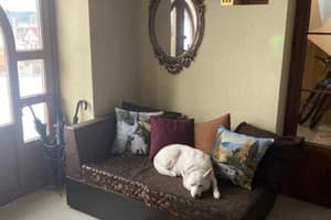 Три Короны 13