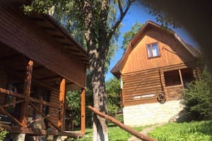 Три березы 4