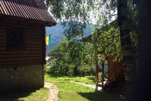 Три березы 6