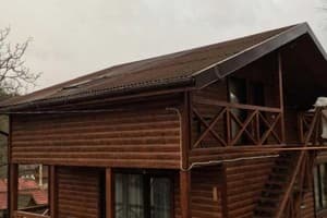 Три березы 1