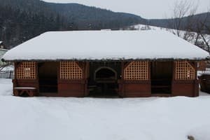 Три подковы 4