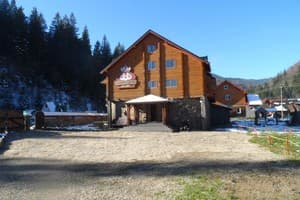 Три подковы 1