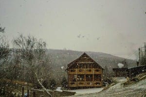 Турянский двор 5