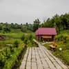 Турянский двор 6-7/25
