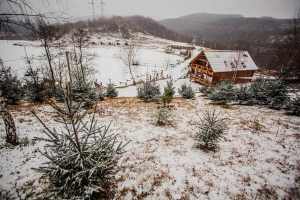 Турянский двор 1