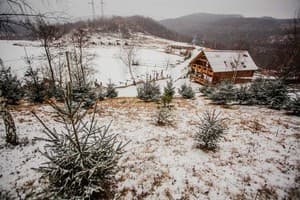 Турянский двор 1