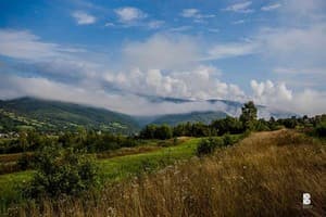 Турянский двор 8