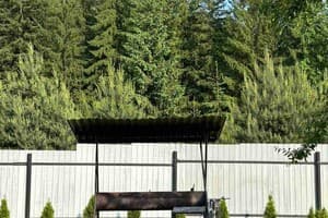 У Анастасии и Софии 7