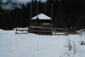 У Анастасийки 3