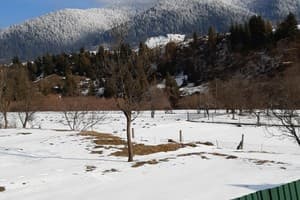 У Анастасийки 5