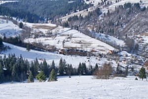 У Ангелины 5