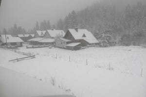 У Ангелины 4