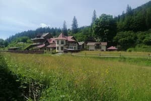 У Ангелины 6