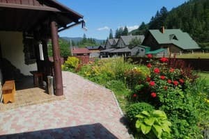 У Ангелины 5