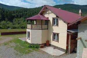 У Ангелины 3