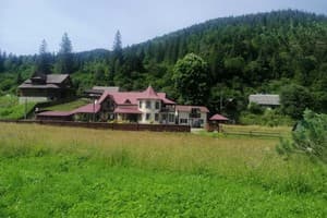 У Ангелины 7