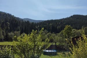 У Ангелины 25