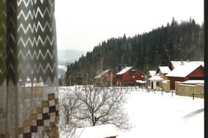 У Бервінових 7